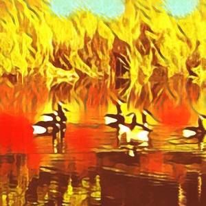 Meet your Posher, Leodis